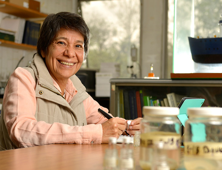 Fotografía LAURA ELENA SANVICENTE AÑORVE